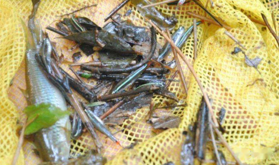 国产欧美另类久久久精品丝瓜:01-08-15-16-41-43T:29,探索国产欧美另类精品丝瓜的魅力,一场跨越时空的文化之旅