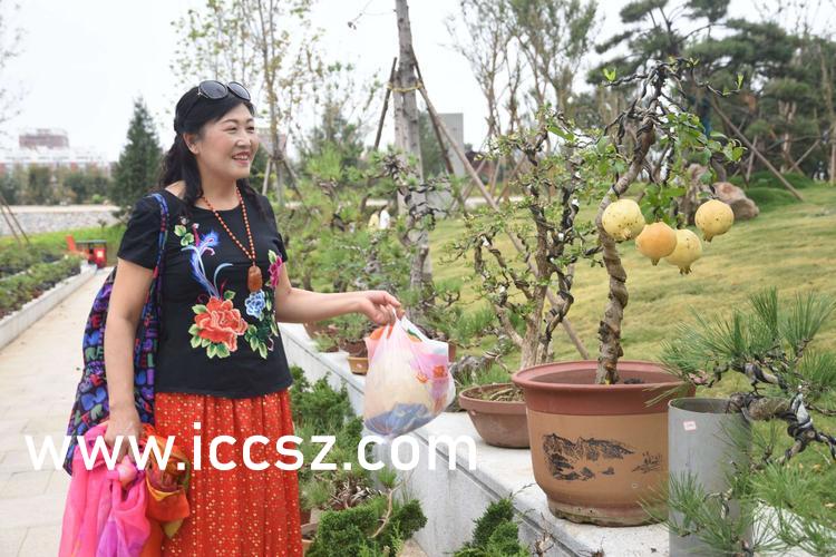 人人妻人人添人人爽欧美一区:06-10-16-23-41-43H:20,人人妻,人人添,人人爽——欧美一区的独特魅力与风情万种(标题)