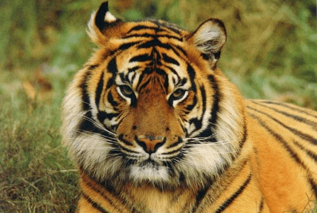 亚洲国产成人精品无码区四虎:04-14-24-33-41-43K:11,关于亚洲国产成人精品无码区四虎的一些探讨