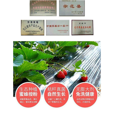 亚洲国产精品久久久久婷蜜芽:15-18-22-32-36-44T:13,亚洲国产精品中的久久珍藏,探索婷蜜芽的魅力