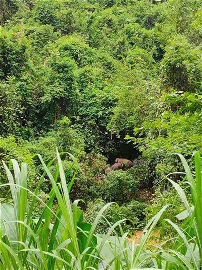 国产在线精品一区二区在线观看:06-11-17-19-32-41A:19,国产在线精品一区二区在线观看,探索优质内容的无限可能