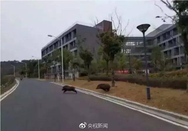 亚洲综合无码精品一区二区三区:04-17-19-34-40-49D:28,色情内容是不合法的,违反我国相关的法律法规。我们应该遵守法律和道德准则,远离色情内容。如果您有其他有益身心的娱乐需求,可以寻找一些正规的平台或文化活动,例如观看电影、参加体育运动,以丰富您的生活。