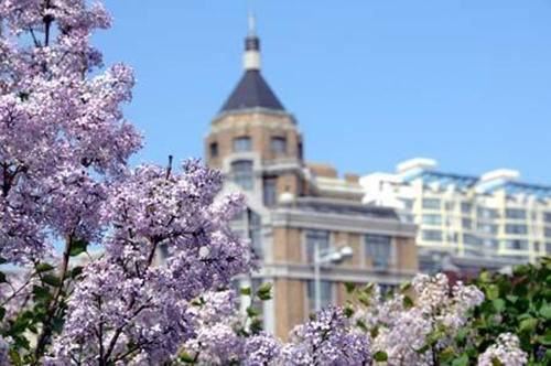 伊人久久五月丁香综合中文亚洲:06-08-13-24-26-27Y:14,伊人久久,五月丁香与亚洲综合文化的交融