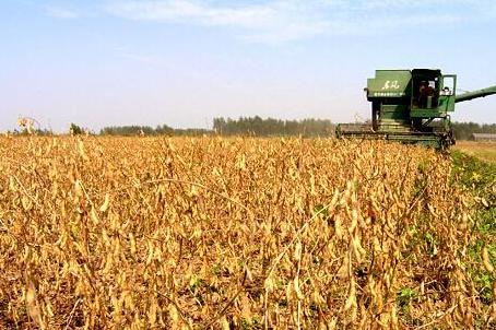 国产乱子伦一区二区三区视频播放:06-24-25-37-46-49Z:09,国产乱子伦一区二区三区视频播放,探索与反思