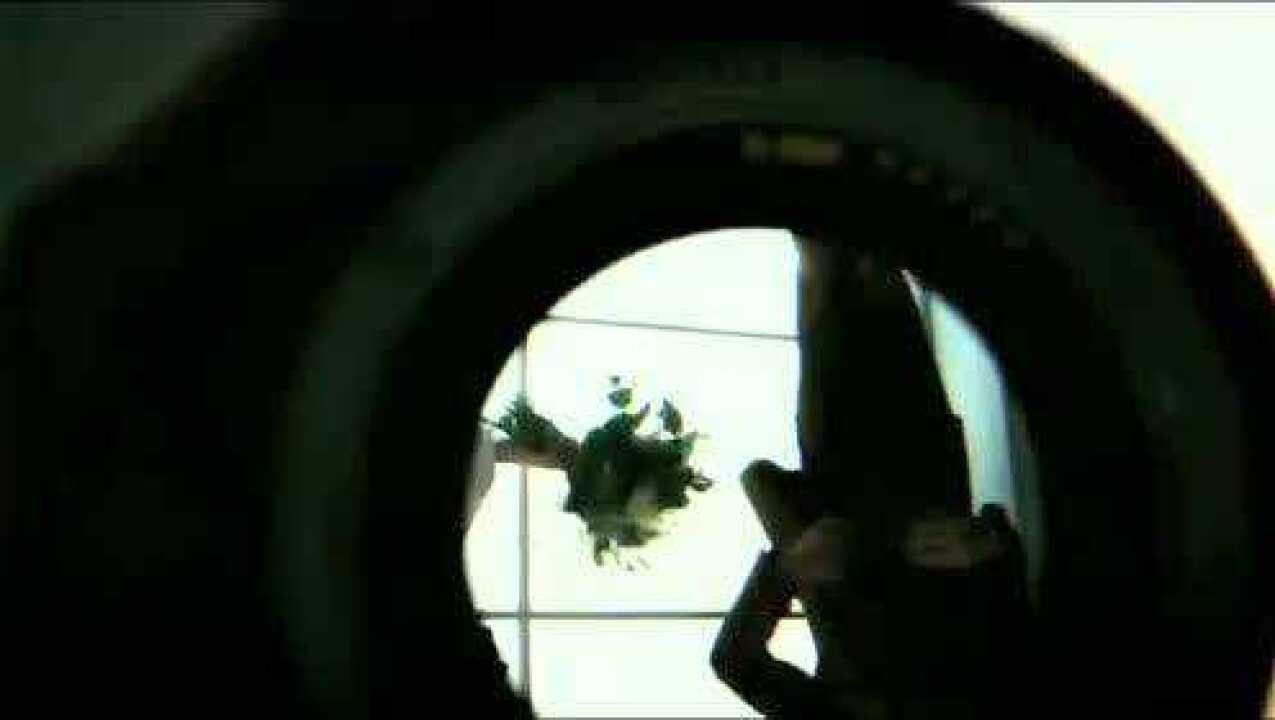 午夜DV内射一区二区:01-36-37-43-44-45J:45,午夜DV,探索内射影像的一区与二区