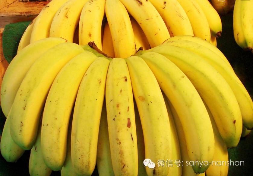 久久大香香蕉国产:03-11-15-31-43-45R:10,久久大香香蕉国产,探寻国产香蕉的魅力与独特之处