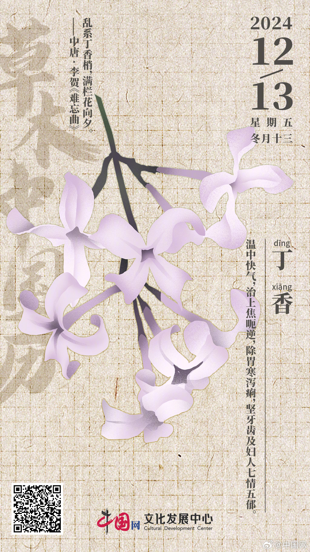 久久综合网丁香五月:03-10-19-25-29-49P:38,久久综合网丁香五月,探索数字世界的奥秘与魅力