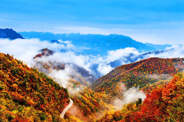 精品亚洲成AV人在线观看:06-09-19-42-43-49V:31,探索精品亚洲,在线观看成人内容的魅力与挑战