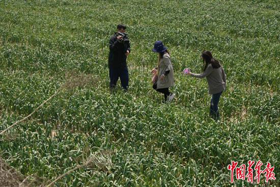 精品亚洲成AV人在线观看:06-09-19-42-43-49V:31,探索精品亚洲,在线观看成人内容的魅力与挑战