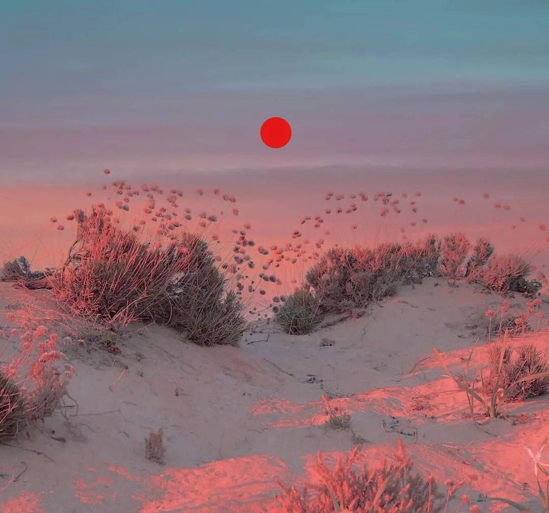 欧美成人AA久久狼窝五月丁香:06-08-13-24-26-27Y：14,欧美成人AA久久狼窝五月丁香，探索与发现之旅