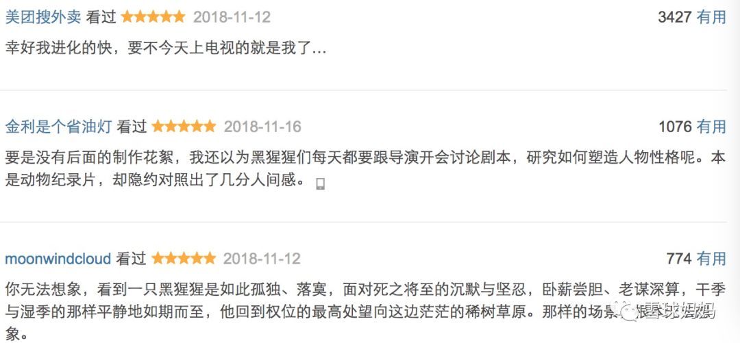 特级毛片A级毛片免费观看网站:13-16-17-22-29-34Y：13,特级毛片A级毛片免费观看网站，探索优质影视资源的平台