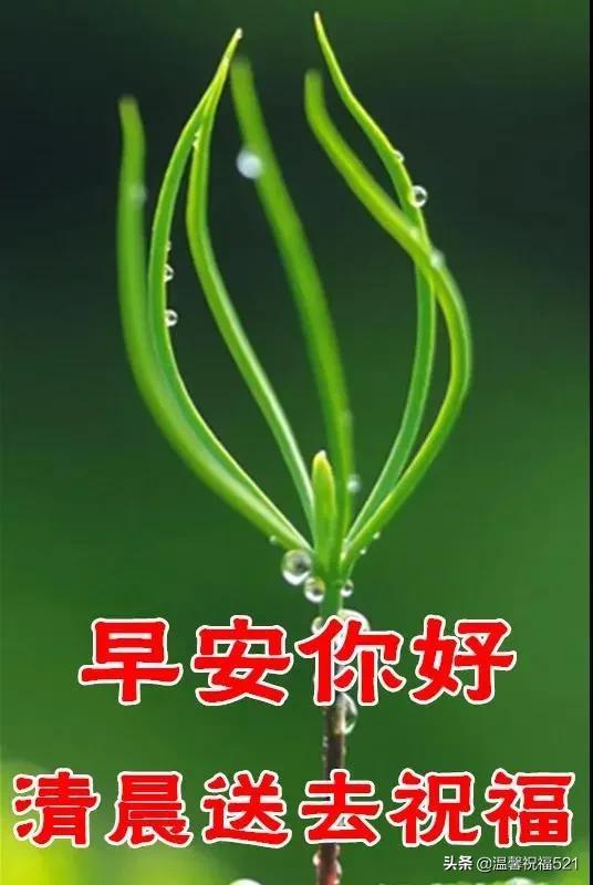 久久综合久久自在自线精品自:04-06-19-30-34-49V:41,久久综合,自在探索与精品呈现