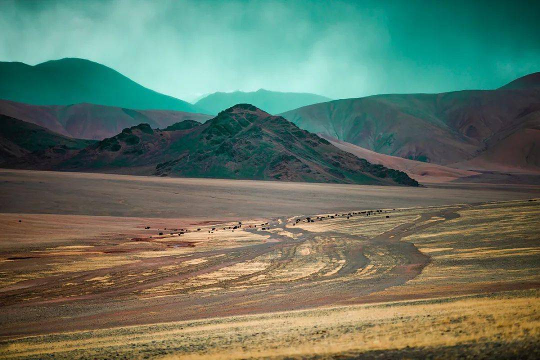 亚洲无人区码一码二码三码四码:03-11-15-31-43-45R:10,亚洲无人区探索之旅,揭秘神秘之地与未知之谜