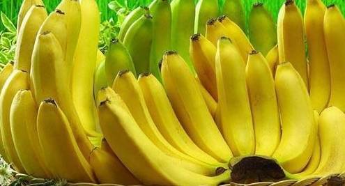 香蕉欧美成人精品a∨在线观看:16-19-31-38-46-48Q:16,欧美成人精品在线观看,探索香蕉文化与成人娱乐的独特魅力