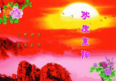 99久久九九社区精品:01-03-08-16-26-43A:19,探索99久久九九社区精品的独特魅力,从数字中解读社区价值