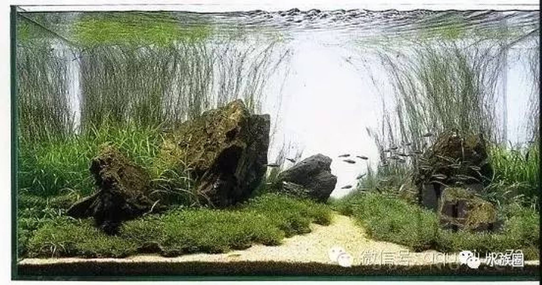 优柔寡断 第3页