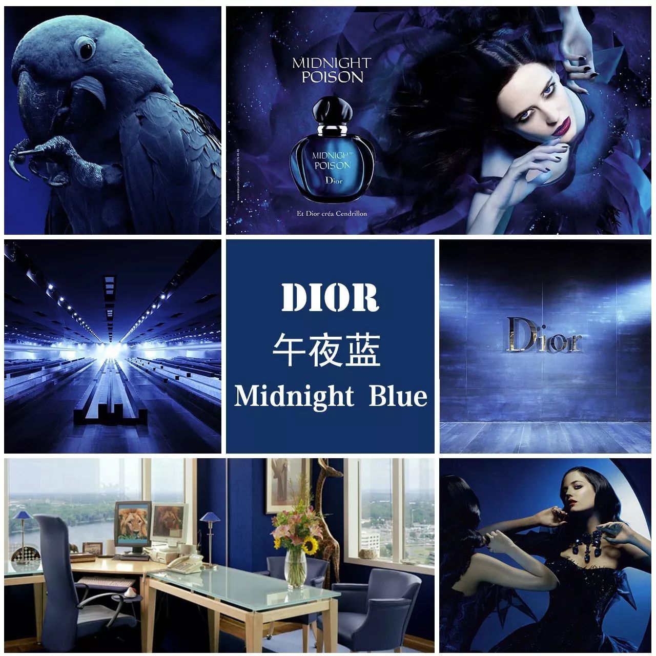 97色伦午夜国产亚洲精品:11-22-23-25-34-36J：36,探索亚洲午夜精品，色彩与文化的交织之美