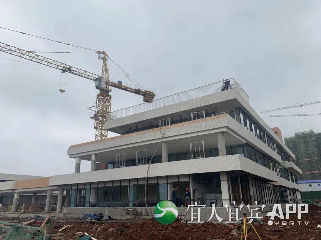 一区二区三区精华液9色:01-06-07-09-16-29A：43,一区二区三区精华液，探索九色护肤奥秘与独特配方（关键词，一区二区三区精华液 9色 01-06-07-09-16-29A 43）