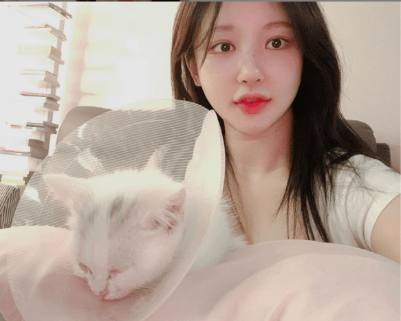 久久精品国产网红主播:14-17-20-27-45-46F:13,久久精品国产网红主播的魅力世界,探索数字背后的故事