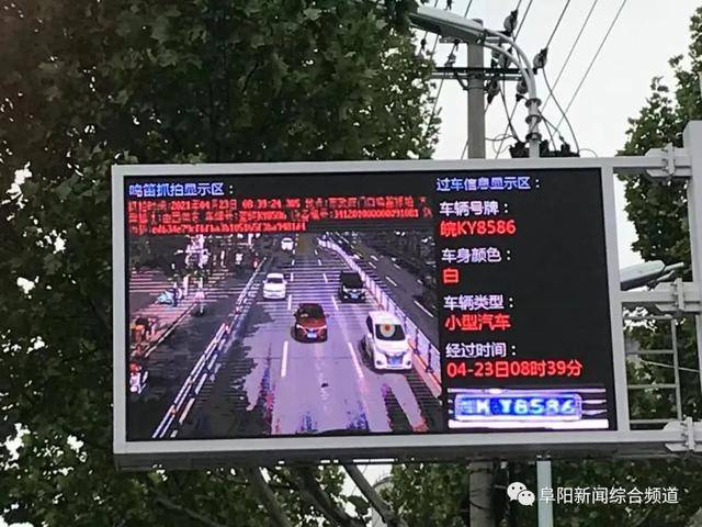 毛片一区二区三区无码:03-06-15-28-40-48M:44,探索毛片一区二区三区,无码的深度解析与体验