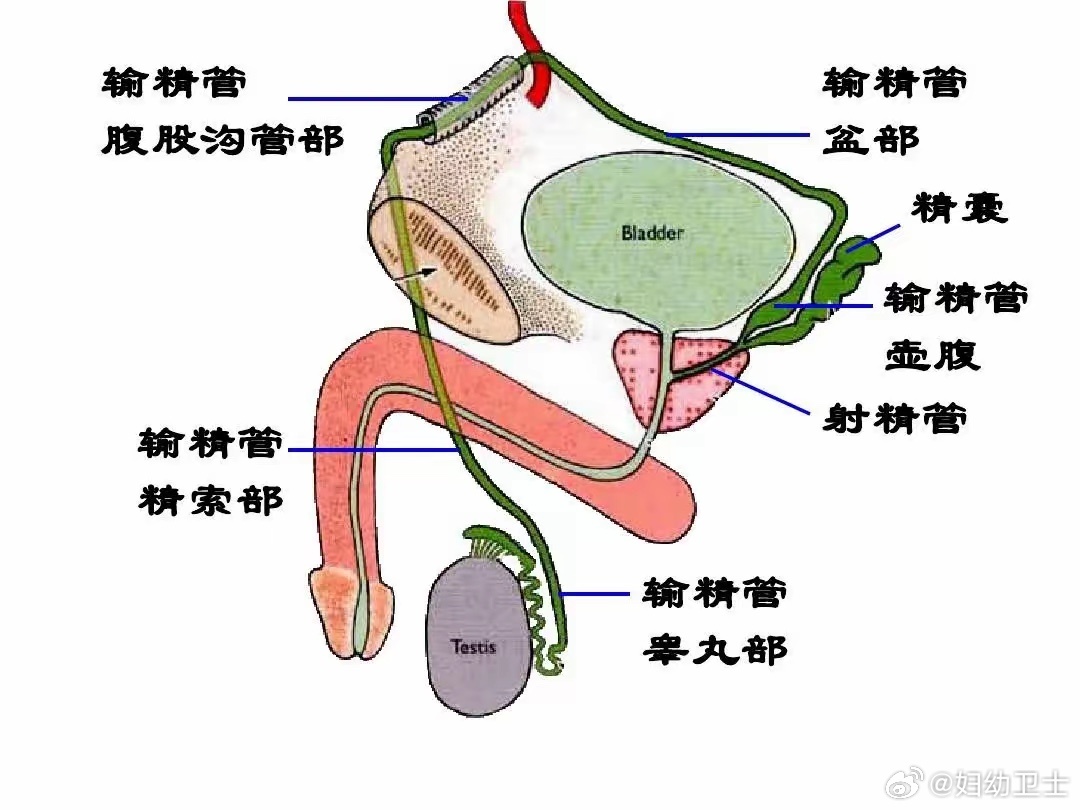 人体内射精一区二区三区:22-28-30-34-38-46A:02,关于人体射精区域及射精过程的探索,一区至六区深度解析与理解
