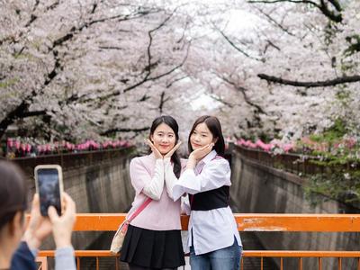 日本道精品一区二区三区:03-09-10-12-40-44K:14,日本道精品一区二区三区,深度探索与独特魅力的展现