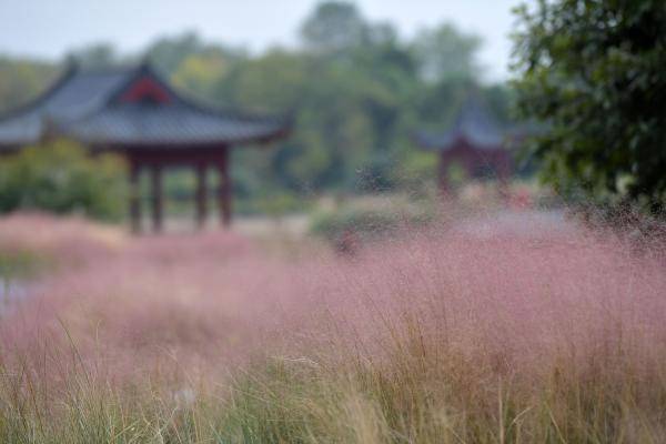 日本乱子伦一区二区三区:07-08-15-18-32-34D:22,探索日本文化与乱子伦现象,一区、二区、三区的深度解读(关键词,日本乱子伦一区二区三区:07-08-15-18-32-34D,22)