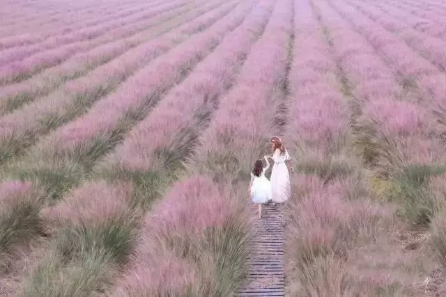 日本乱子伦一区二区三区:07-08-15-18-32-34D:22,探索日本文化与乱子伦现象,一区、二区、三区的深度解读(关键词,日本乱子伦一区二区三区:07-08-15-18-32-34D,22)