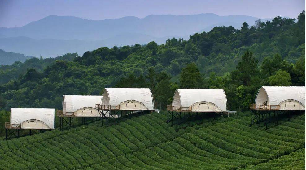 亚洲国产AV玩弄放荡人妇系列:02-07-26-29-40-45Y:24,亚洲国产AV系列,探索放荡人妇的世界 02-07-26-29-40-45Y 24小时的秘密