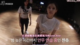 中文字幕无码中文字幕有码A:05-10-11-25-42-45N:08,中文字幕无码与中文字幕有码,探索数字时代的字幕奥秘(关键词,A: 05-10-11-25-42-45 N,08)