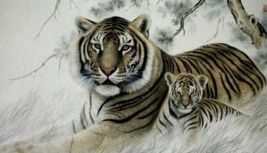 四虎国产精品成人免费久久:11-17-27-28-32-47N:24,关于四虎国产精品成人免费久久的探讨