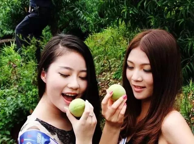 无码日韩人妻精品久久蜜桃:04-06-14-33-35-42M:38,无码日韩人妻精品,蜜桃系列的美好时光