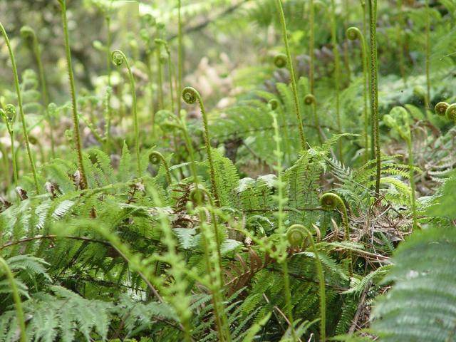 亚洲国产精品无码久久青草:05-16-26-32-45-47T:06,亚洲国产精品的多元魅力与独特风采