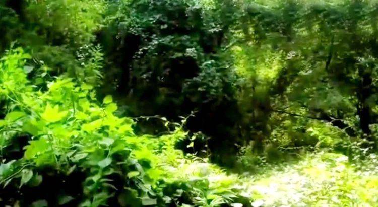 亚洲国产精品无码久久青草:05-16-26-32-45-47T:06,亚洲国产精品的多元魅力与独特风采