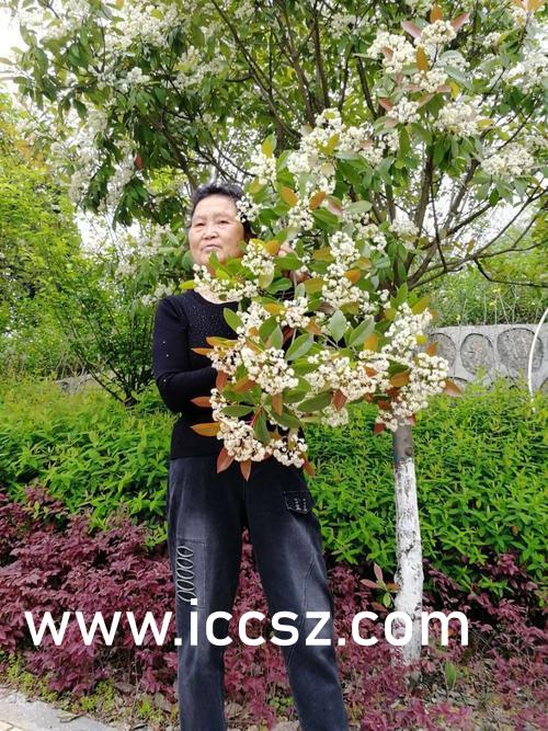 夜夜高潮夜夜爽国产伦精品:05-11-21-41-42-45A:01,夜夜高潮与国产精品的魅力,一场感官与情感的盛宴(05-11-21新篇章)