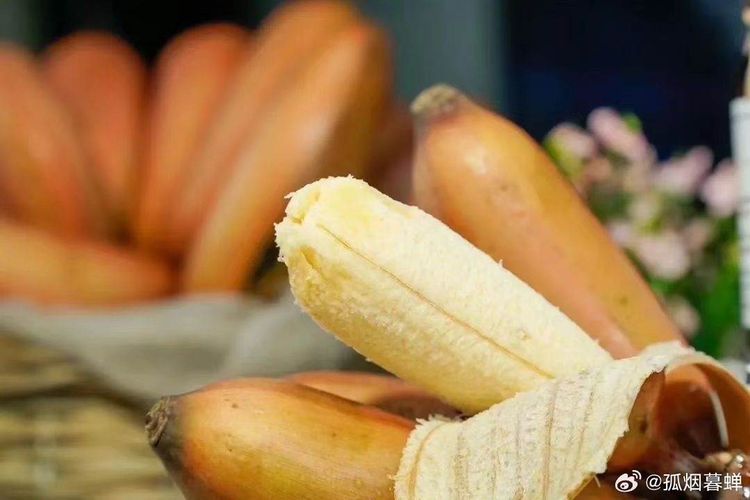 伊人久久大香线蕉无码不卡:03-07-11-26-27-31B：02,伊人久久大香线蕉，探索无码不卡的数字世界之旅