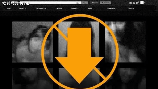 精品无码成人网站久久久久久:14-19-21-30-33-43Z:18,探索精品无码成人网站,深度解析与体验分享