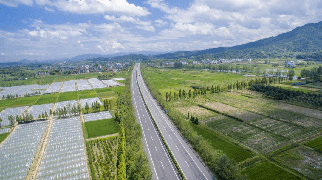 又大又粗又硬又黄的免费视频:16-19-26-28-31-40K:14,关于又大又粗又硬又黄的免费视频的探讨,解析16至40K视频质量与影响