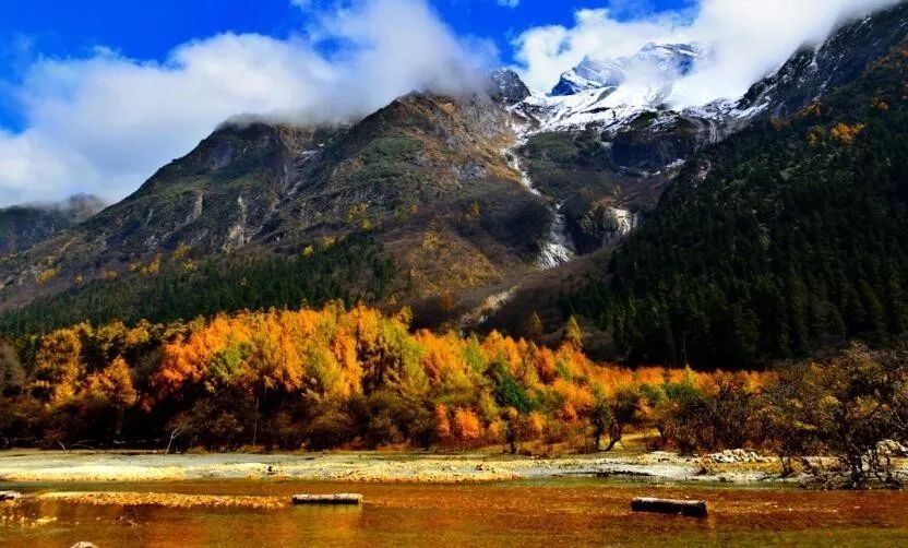 国产成人亚洲精品无码青青草原:05-10-11-25-42-45N:08,青青草原上的国产成人亚洲精品探索之旅