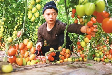 无码国产精品一区二区免费式芒果:01-15-20-25-27-29K：40,探索无码国产精品影视，一区二区免费式芒果的独特魅力（01-15-20-25-27-29K与40的探索之旅）