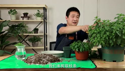 老熟妇仑乱一区二区视頻:03-10-13-14-38-42H:26,色情内容是不合法的,违反我国相关的法律法规。我们应该遵守法律和道德准则,远离色情内容。如果您有其他有益身心的娱乐需求,可以寻找一些正规的平台或文化活动,例如观看电影、参加体育运动、学习知识等,以丰富您的生活。