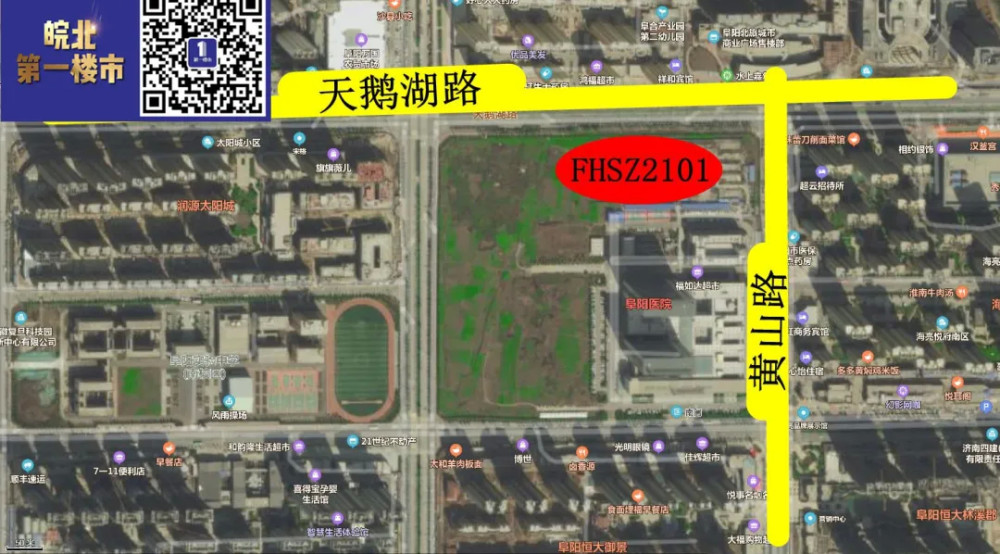 男人的天堂免费一区二区视频:12-14-27-33-48-49Y:41,男人的天堂,探索免费一区二区视频的魅力