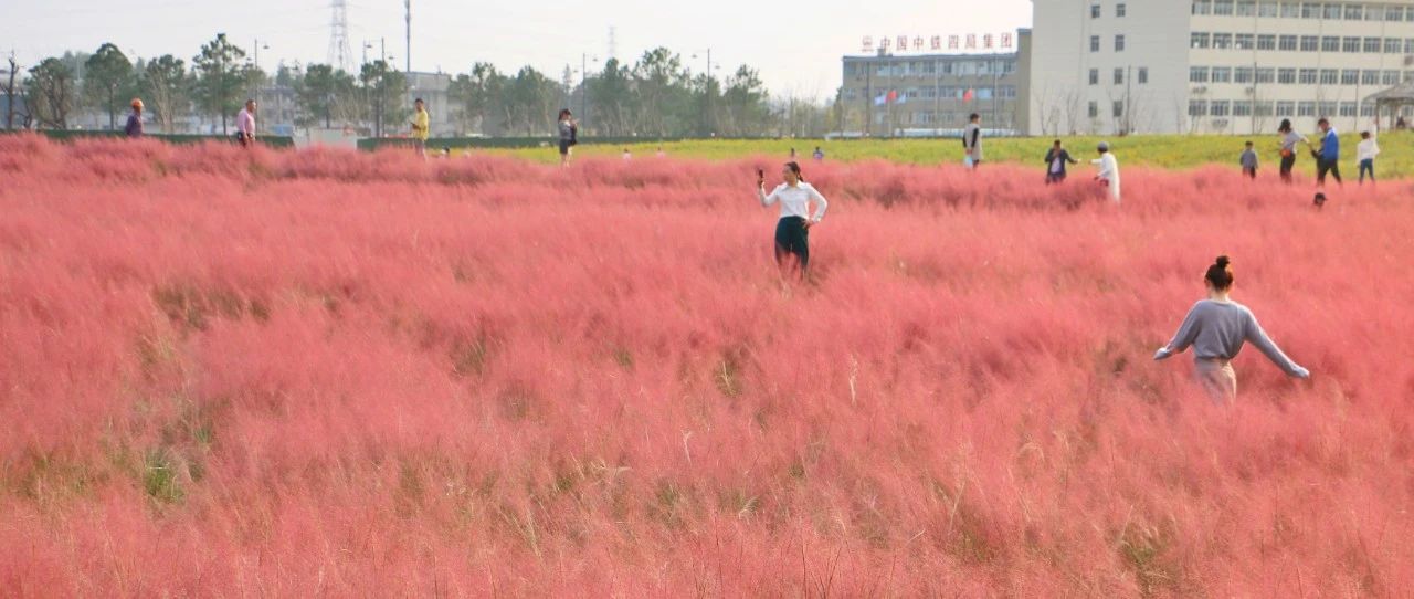 国产乱子轮XXX农村:10-15-19-25-36-49Z:07,国产乱子轮XXX农村,数字背后的深度探索与反思(2023版)