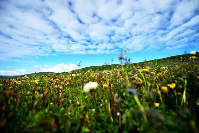 亚洲精品夜夜夜:06-08-26-36-38-49T：26,亚洲精品之夜，探索无尽的魅力与激情（06-08-26-36-38-49T，26）