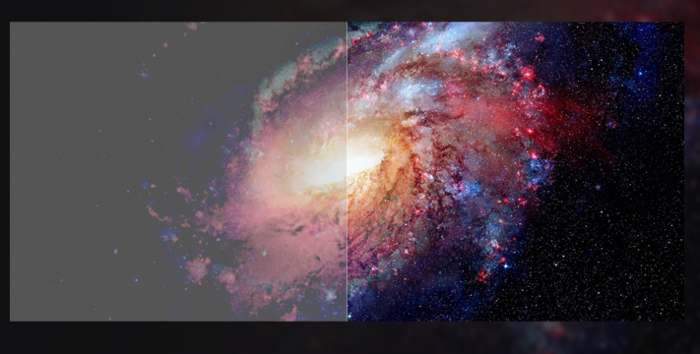 兔死狐悲_1 第2页