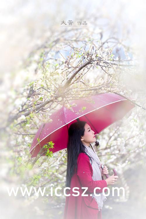 制服在线无码专区:04-12-29-33-39-45K:08,制服在线无码专区,探索与深度解析