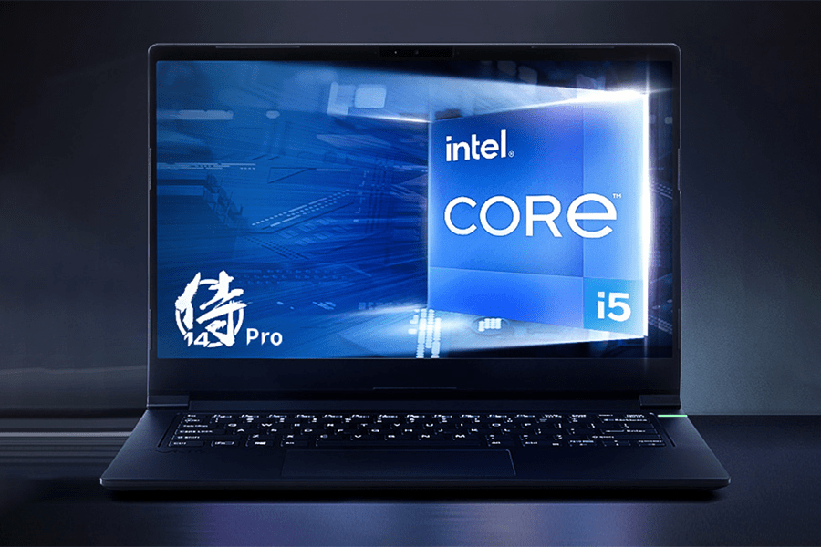 引狼入室 第2页