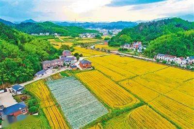 亚洲人成网线在线VA播放:07-14-20-23-37-44Q:36,亚洲人成网线在线VA播放的新趋势,探索数字时代的文化交融与娱乐新境界