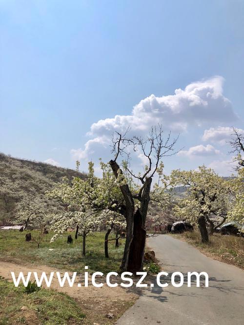 久久天堂综合亚洲伊人HD:10-26-27-28-33-45E：39,久久天堂综合亚洲伊人HD，探索多元文化交融之美