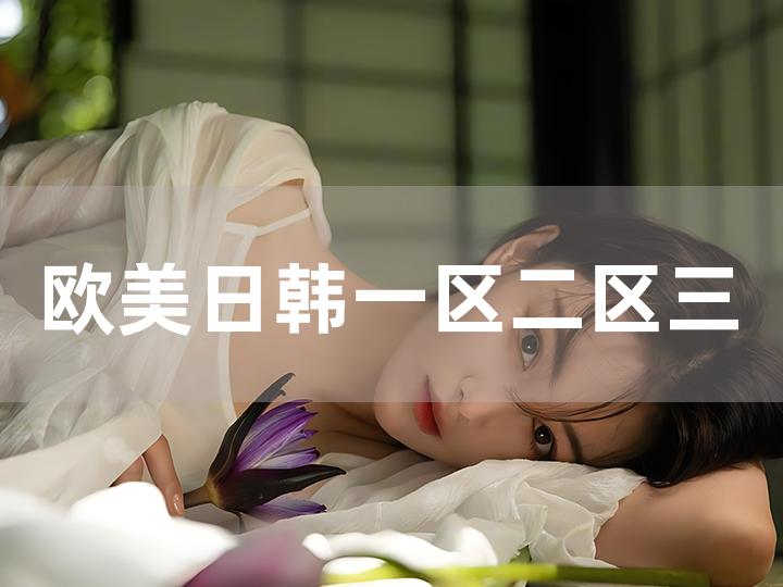 亚洲欧美日韩V在线播放:04-06-08-14-33-42Q:13,关于亚洲欧美日韩V在线播放的探讨,一种文化交流的新视角